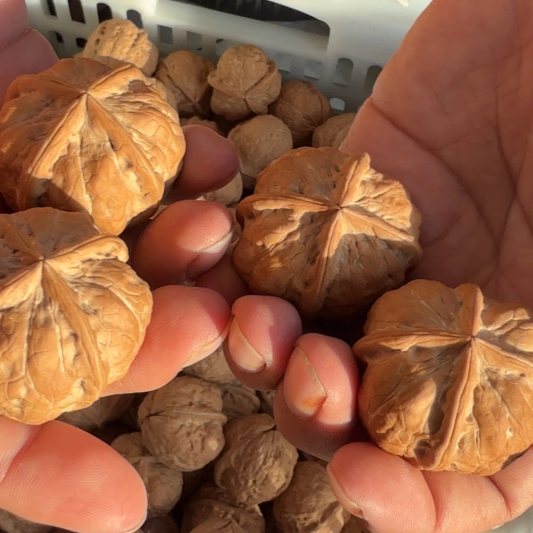 文玩核桃把件铁8萌萌包四棱