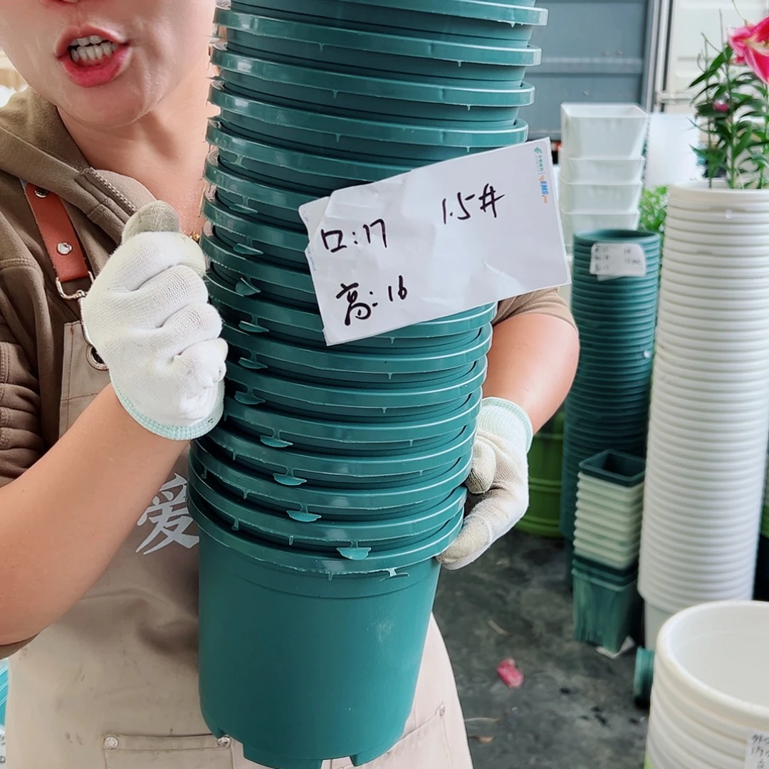 瑕疵1.5加仑墨绿色20个无托