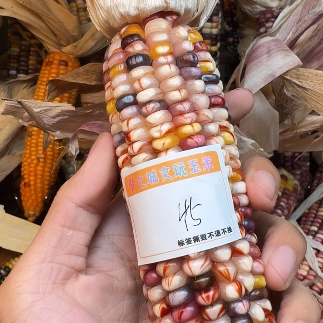 雨***虹吊坠柏香籽/百香籽