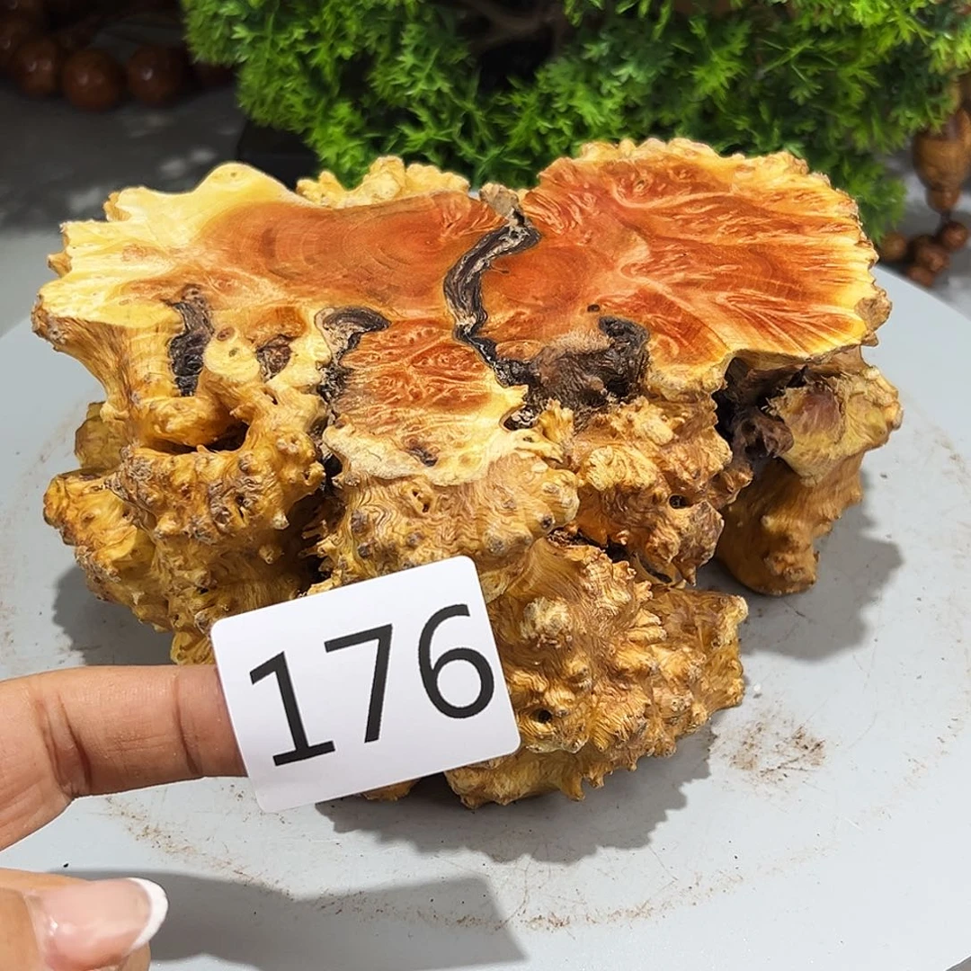 梨木好*火琉璃……