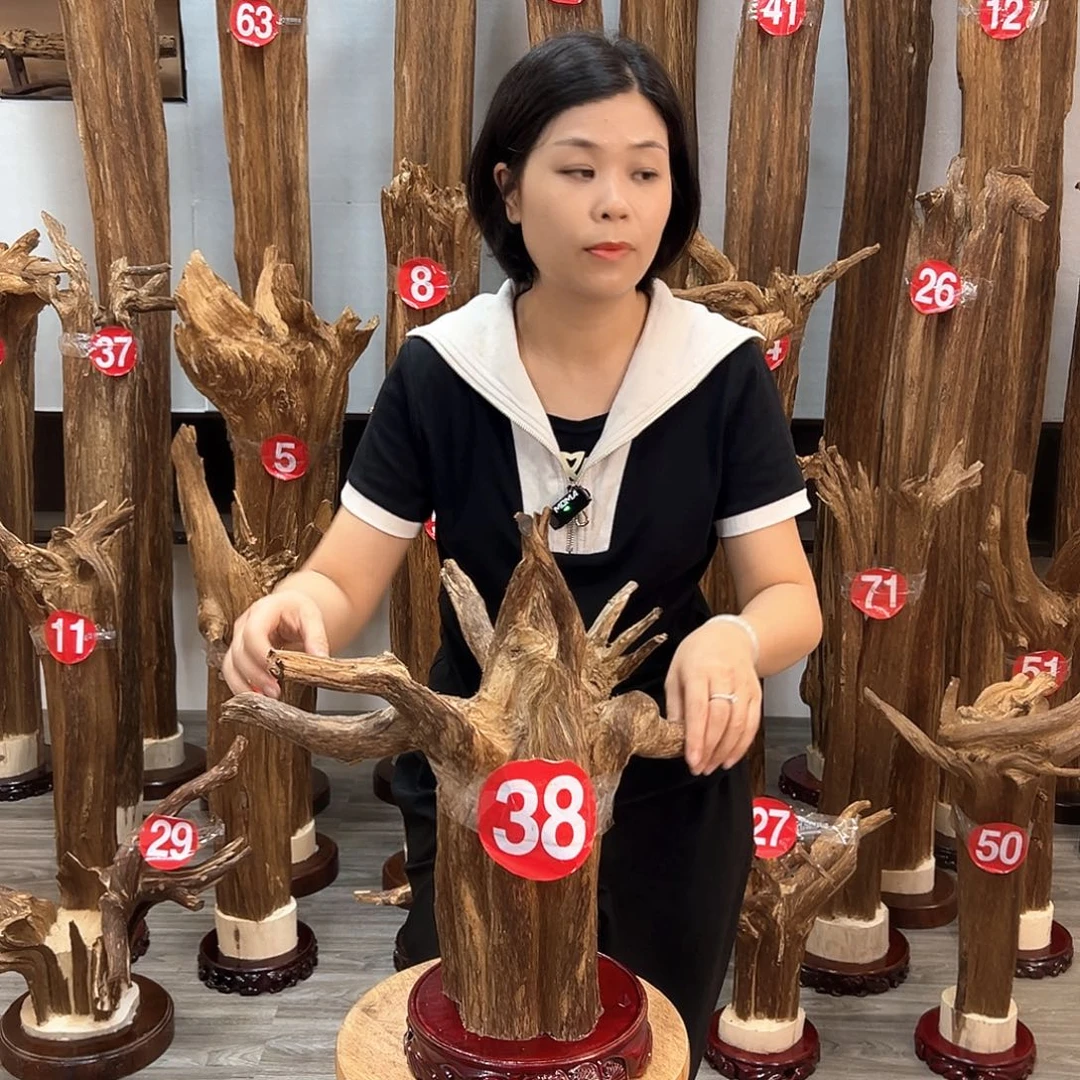 沉香碎屑沉香沉香碎屑