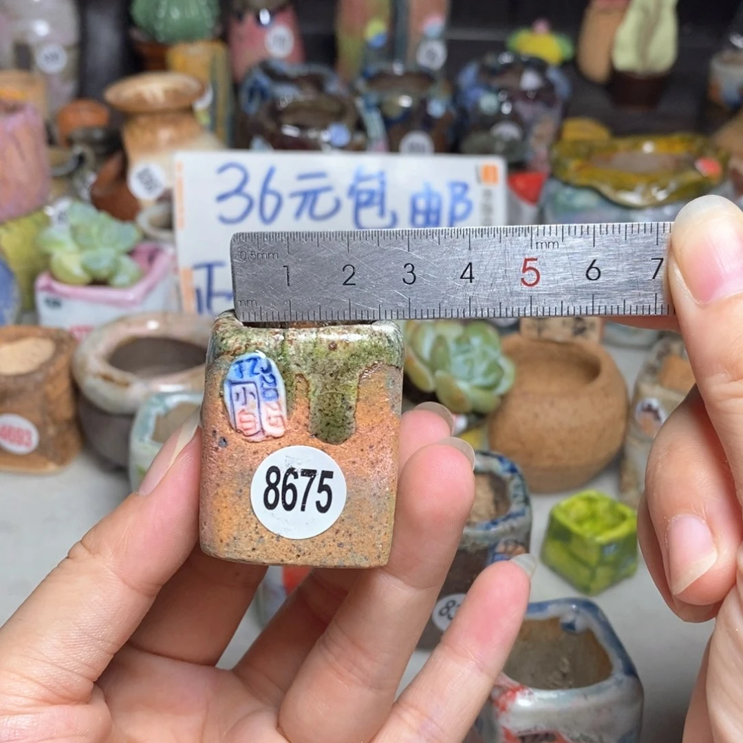 拍3送一个小礼物