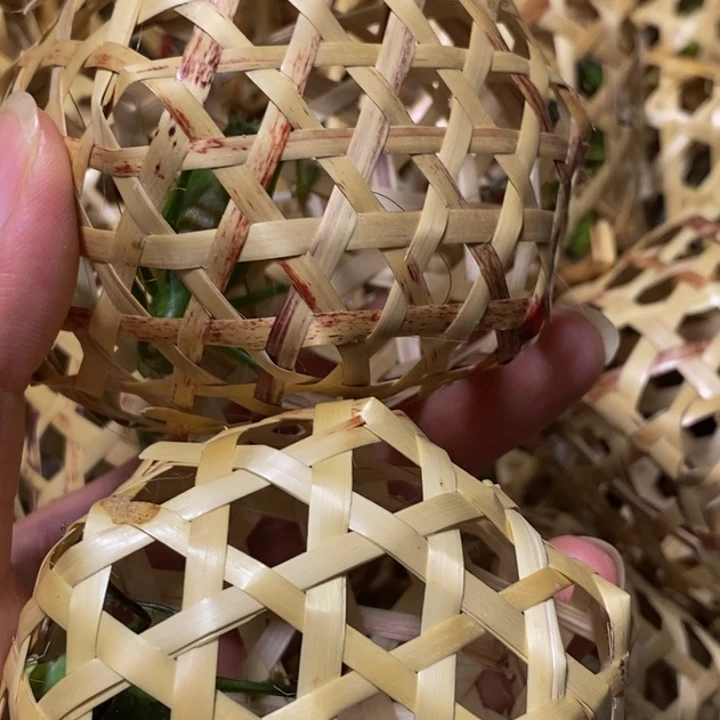 狼牙山野生绿蝈蝈包邮包活2只