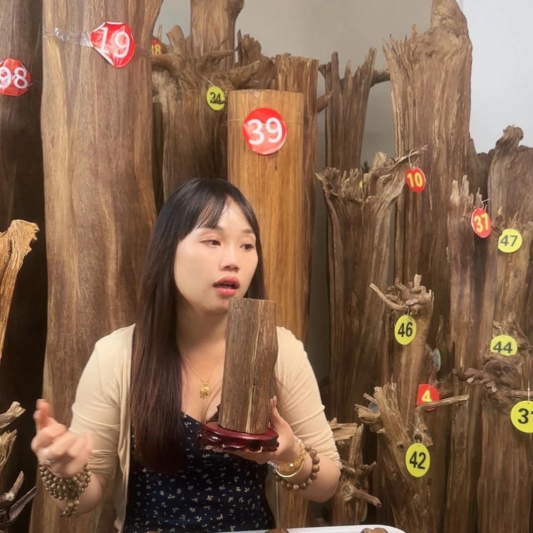 沉香沉香碎屑天然沉香原材料香料熏料