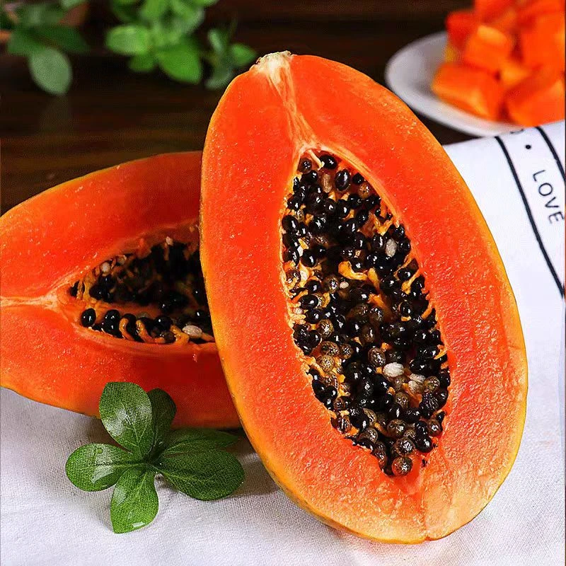 云南冰糖心红心牛奶木瓜树上熟新鲜多汁香甜皮薄水果