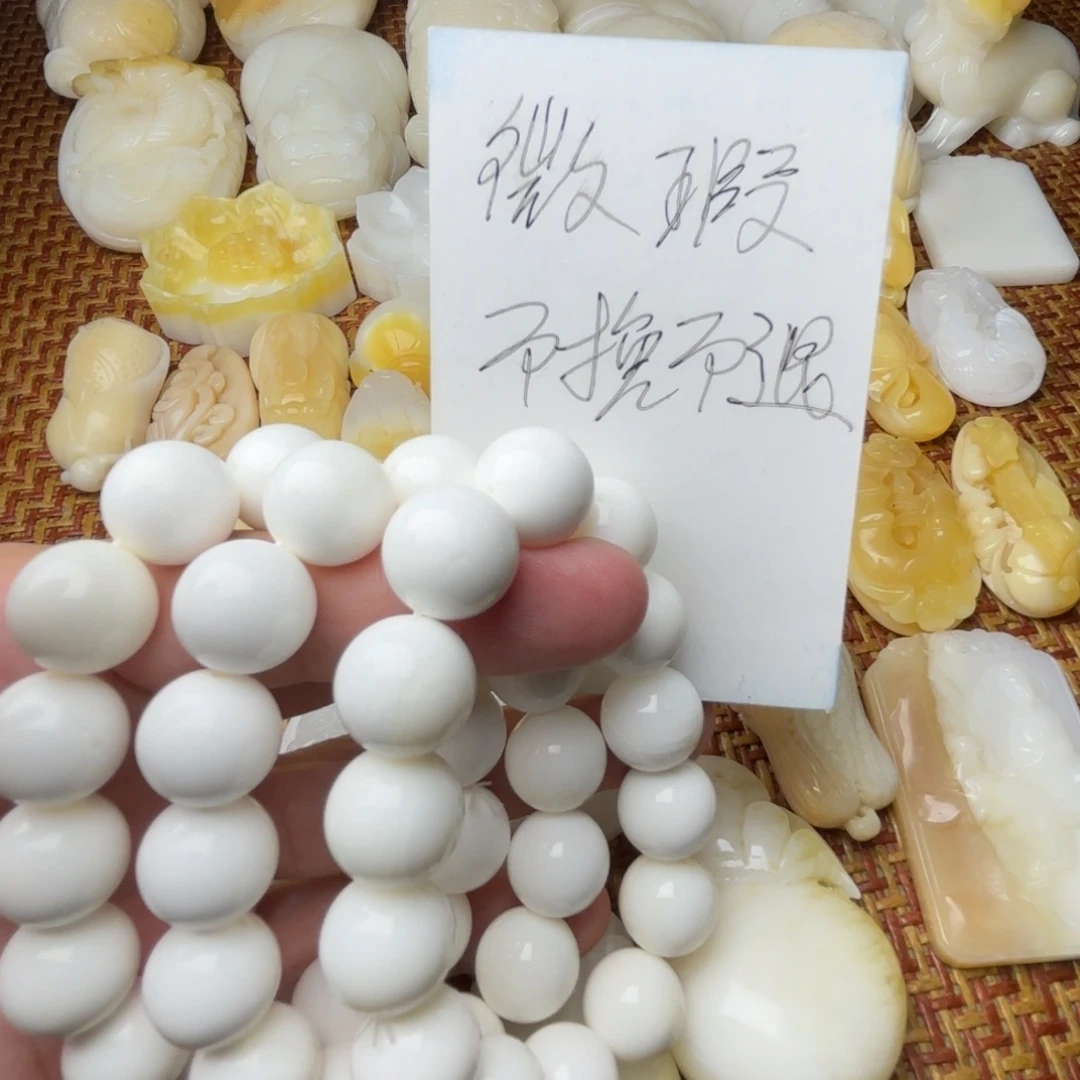非金属贝壳天然贝壳