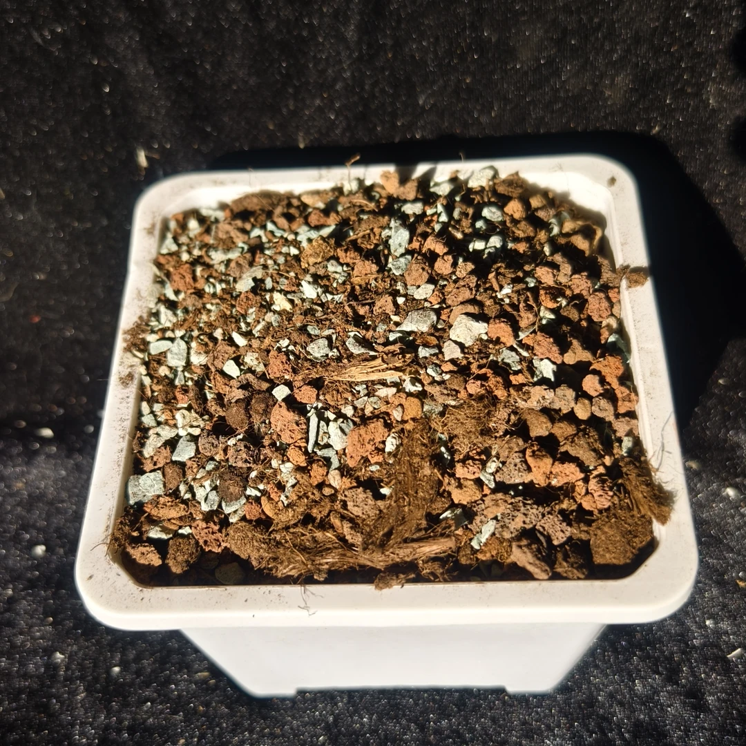 萌绮园艺：多肉专用控养土小苗土营养土百分比配方，透气控养育苗土