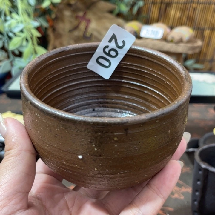 木村信弘柴烧保平