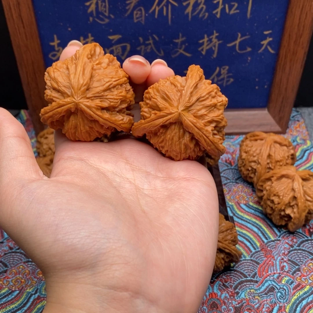 【闪购商品】小***、白狮