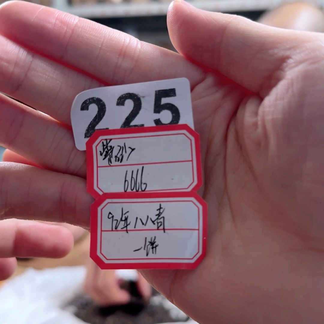 225………………………………………………