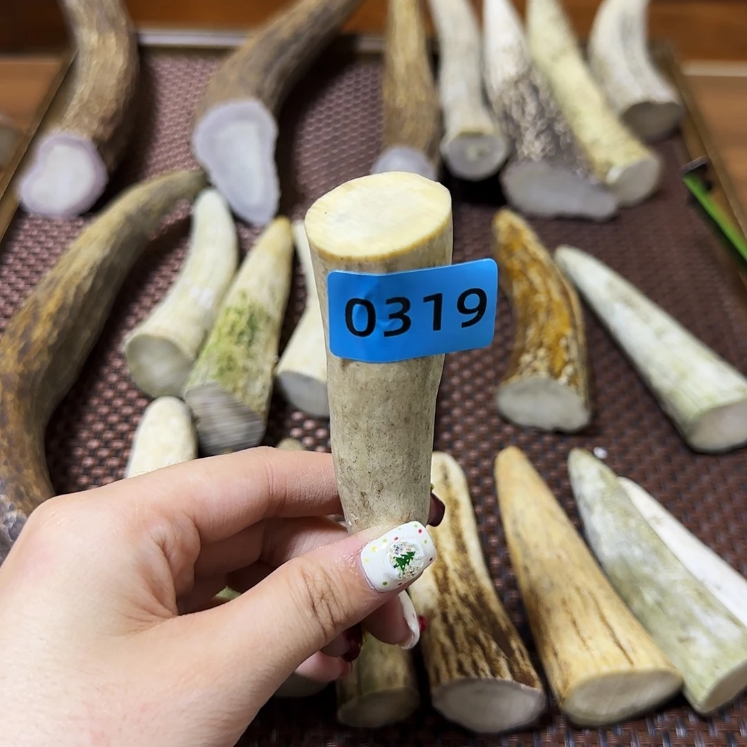 手串/手链鹿骨角尖0319