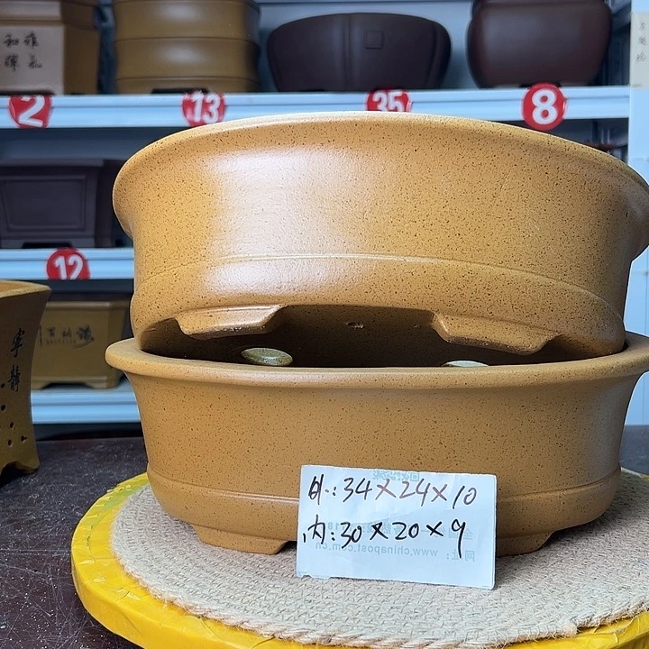 紫砂花盆蛇年大吉