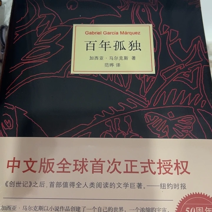 百年孤独十米一个