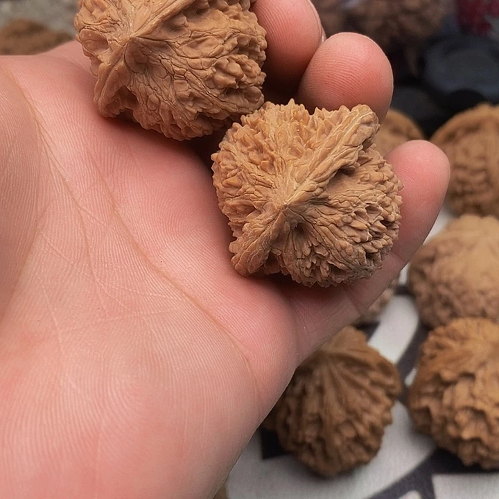 桃核把件?*满天星狮子头