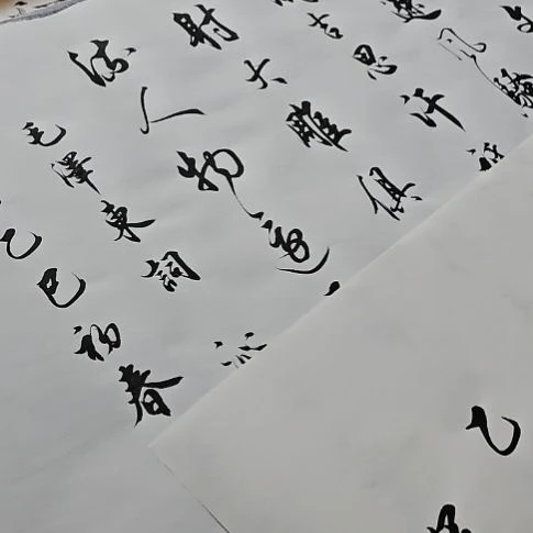 书法坦**生沁园春雪白色宣纸