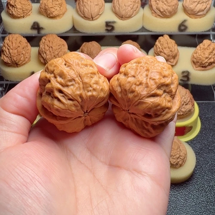 鯨***、把件文玩核桃鹦鹉金蟾