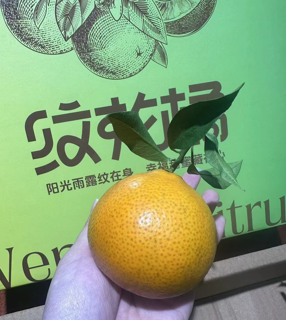 【小乐优选】 四川  纹花桔  一箱5斤新鲜食用可口好吃美味