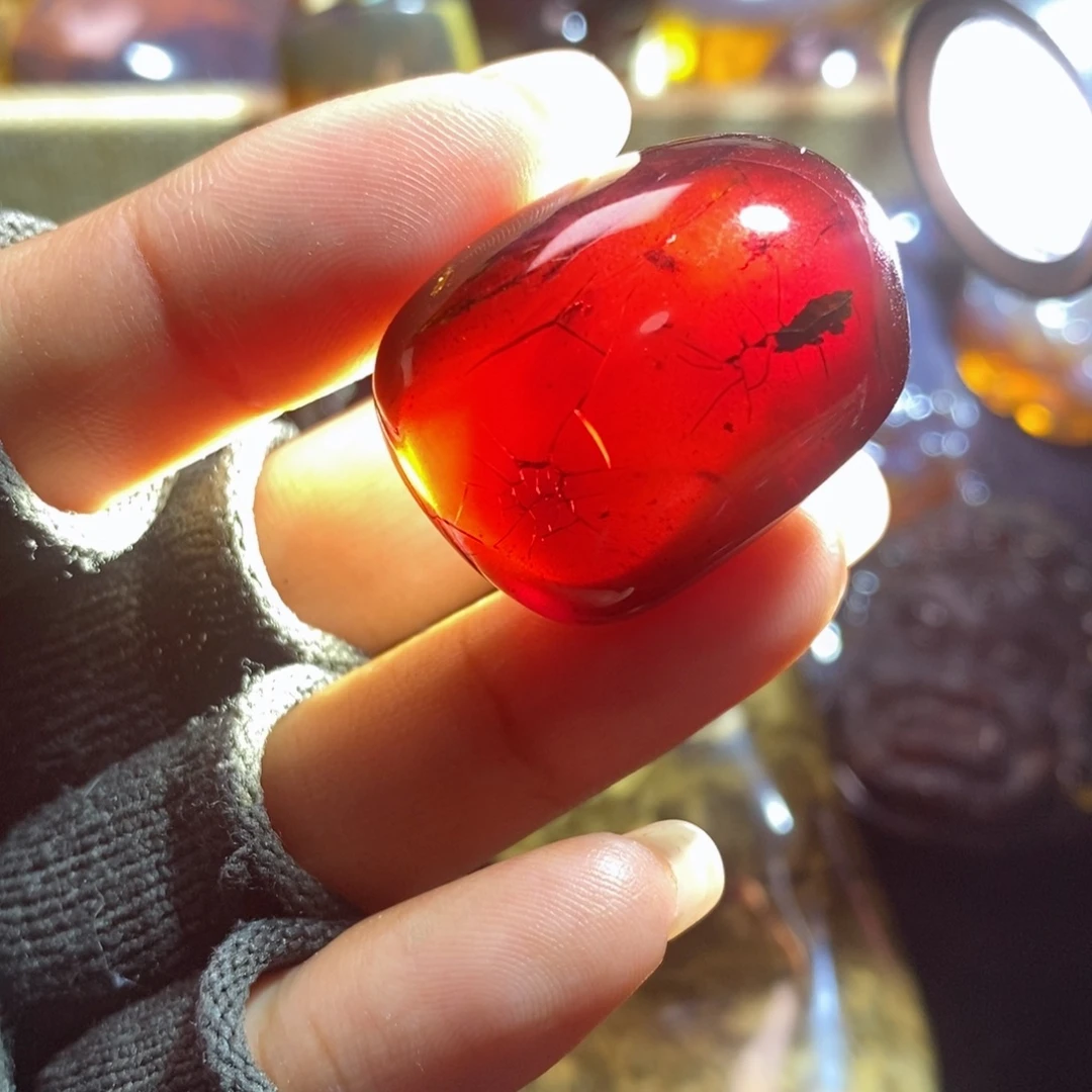 裸石琥珀未镶嵌血珀带虫子