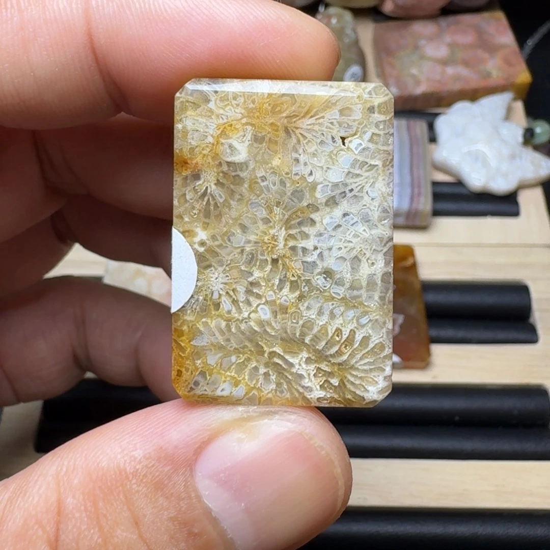 未镶嵌纯天然色有机玉石保真色硅化玉
