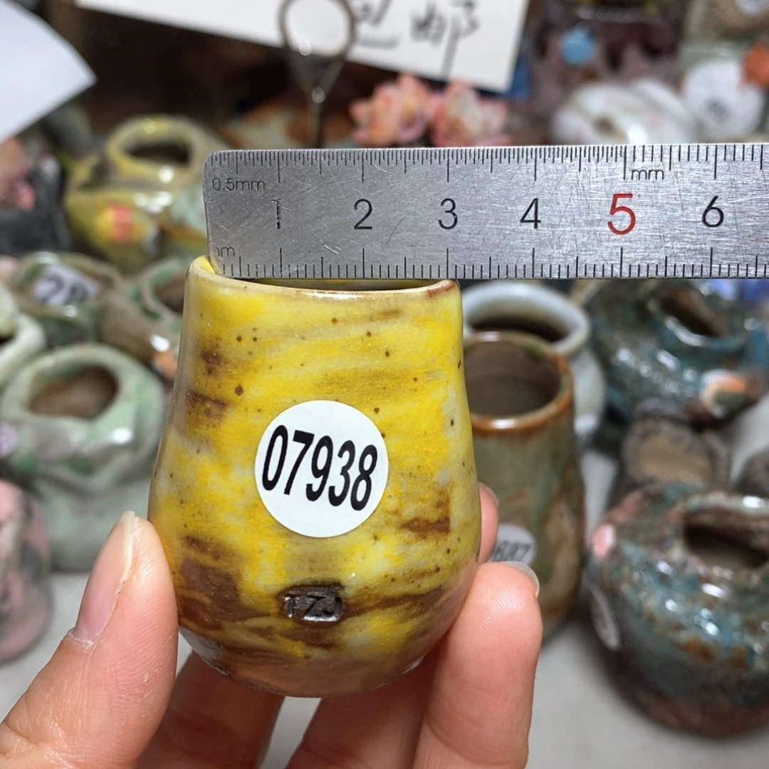 花盆拍5送一个小礼物