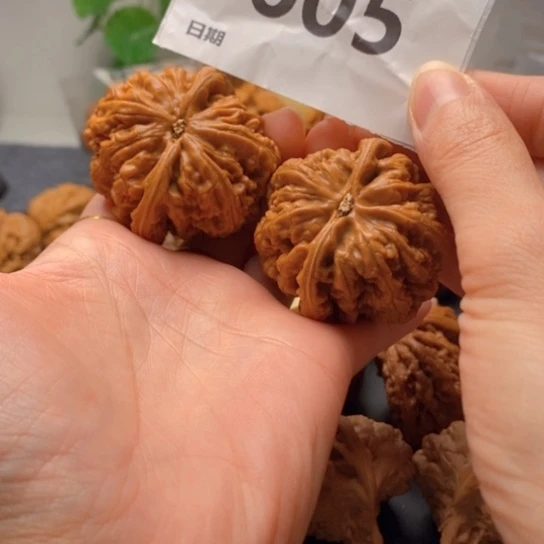 空***清文玩核桃吊坠47粗筋605