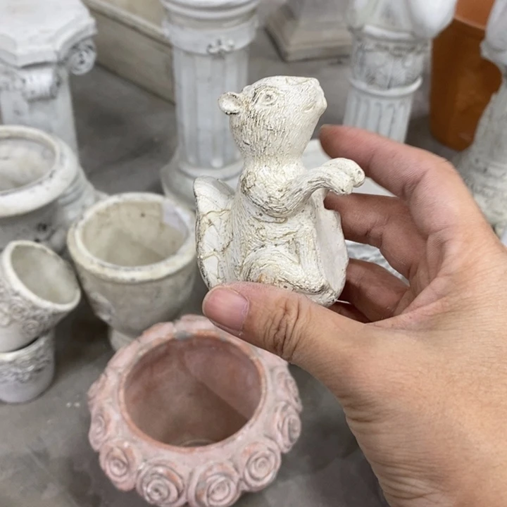 花盆6191891 1919191991