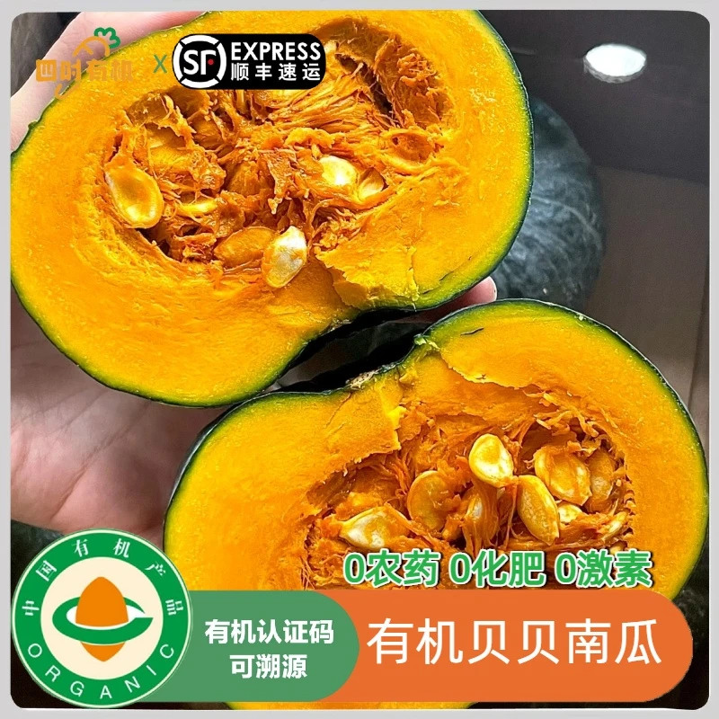有机贝贝南瓜，粉糯香甜板栗有机认证无农残口感好不水中秋送礼