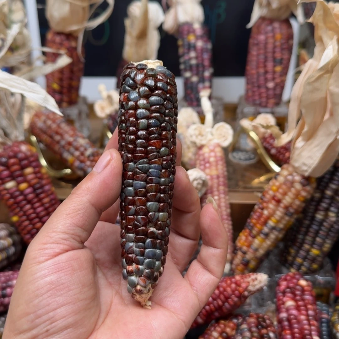 柏香籽/百香籽吊坠佩**姐