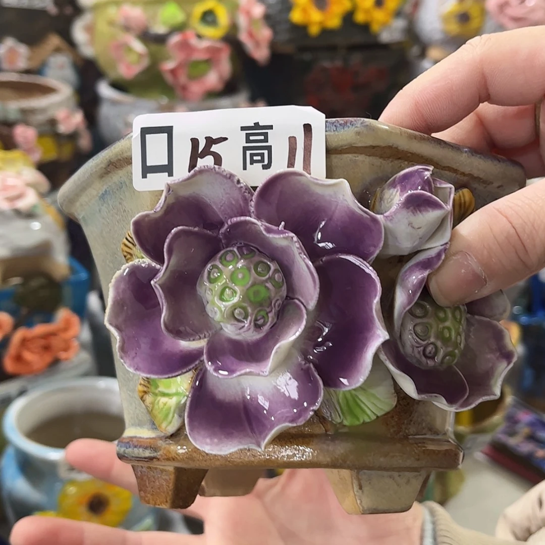 【闪购商品】红陶福利