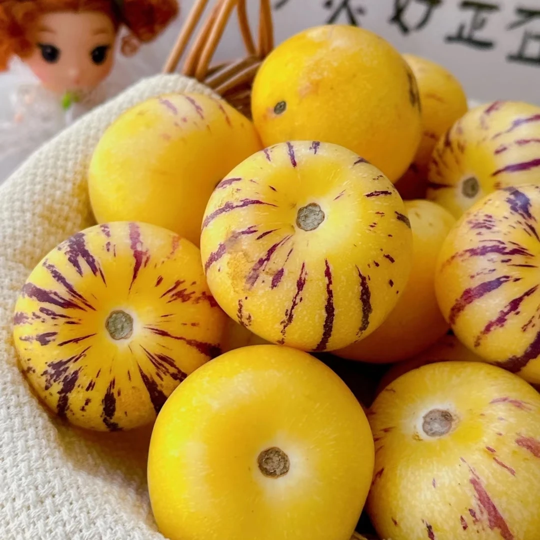 【老沙严选】井栏果云南当季树熟爆汁人参果礼盒3.6斤左右