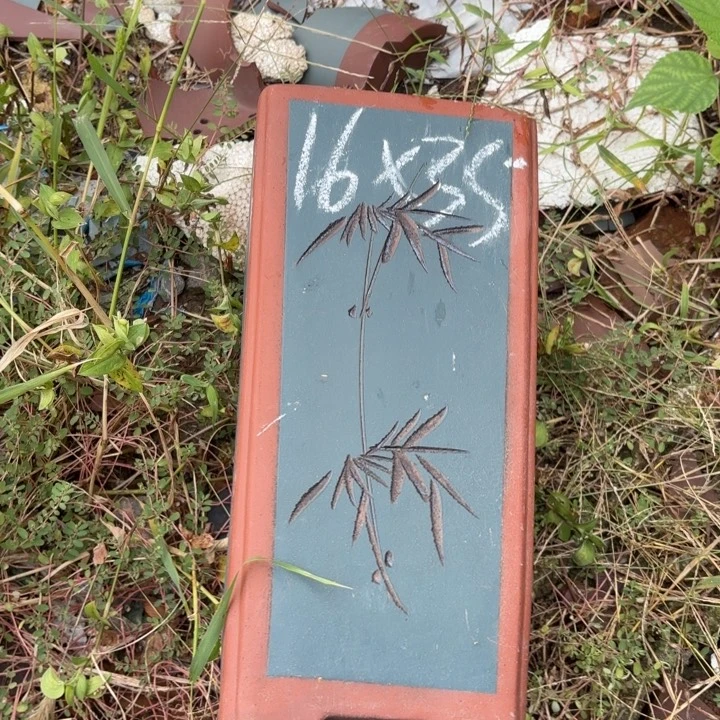 茶壶紫砂紫砂的花