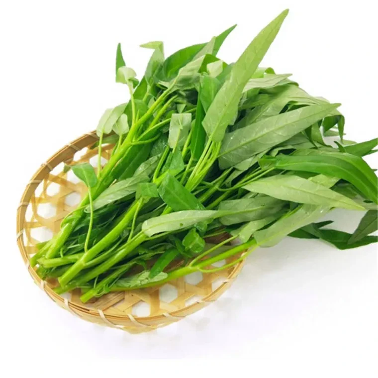 新鲜空心菜 500g±30g