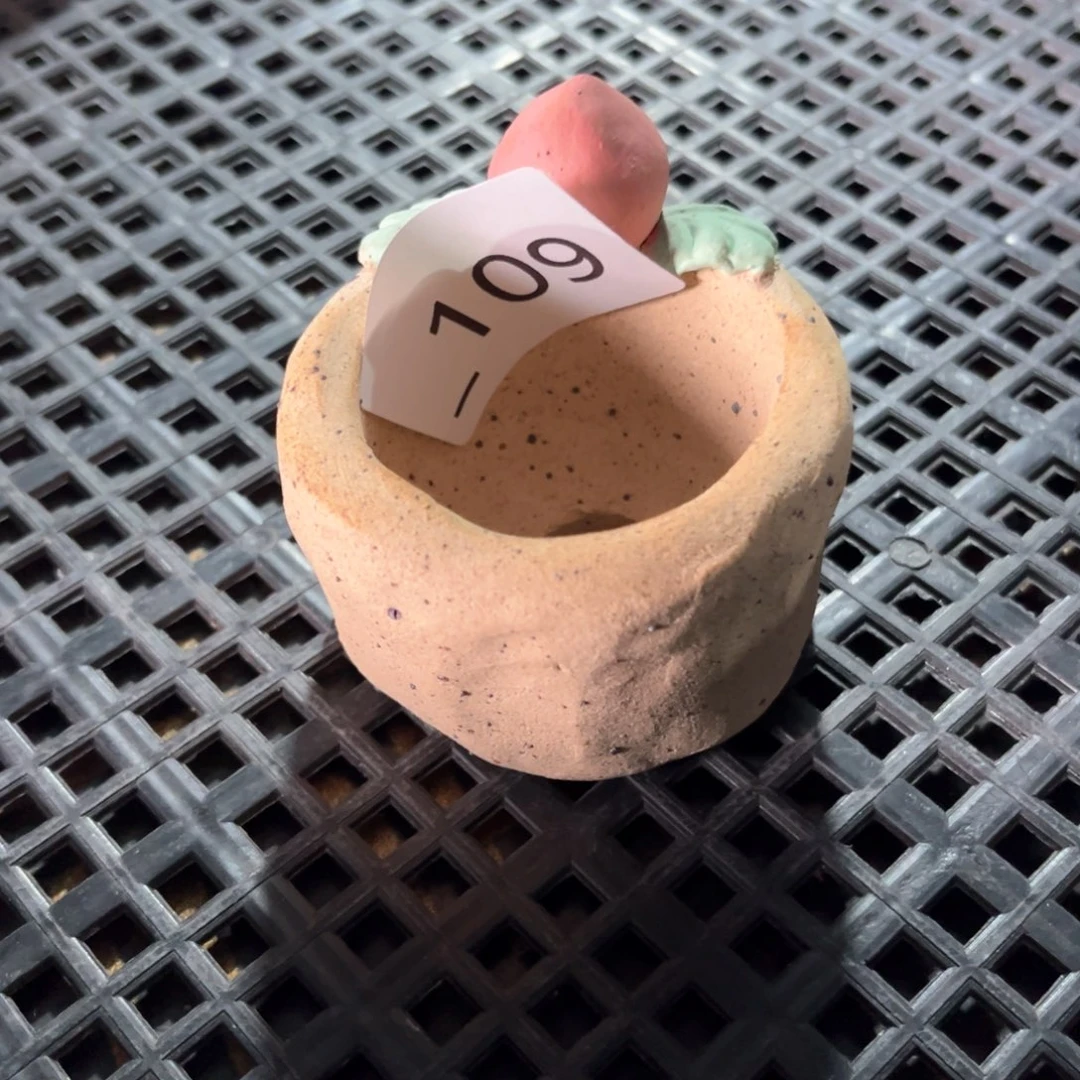 红陶109花盆  1个