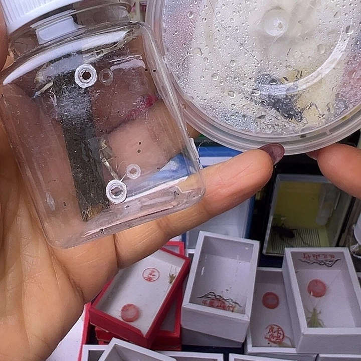 雪***原哈哈哈哈哈哈哈哈哈哈哈