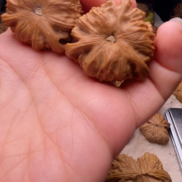 靜*拼接三棱核桃核桃核桃