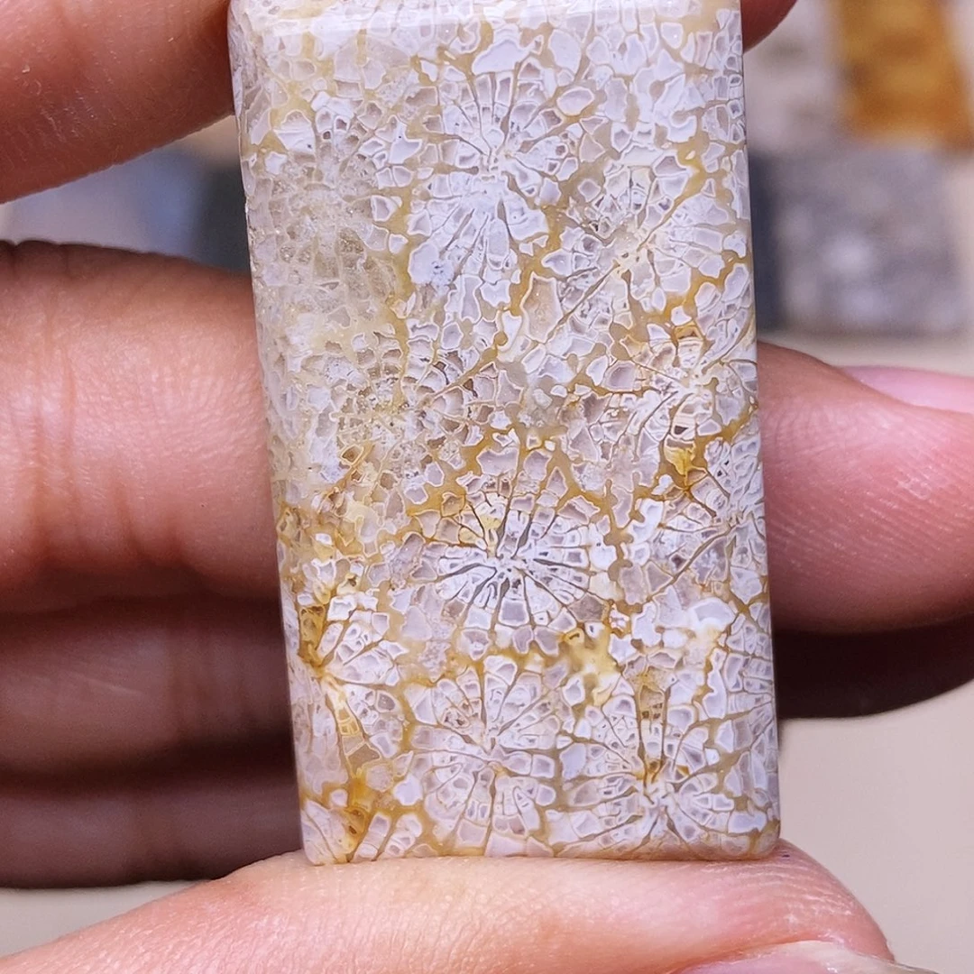 用***1硅化玉合金珊瑚玉