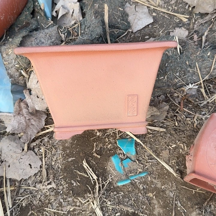 在一起时也不会像朋友这样相互包容彼此陪伴互相