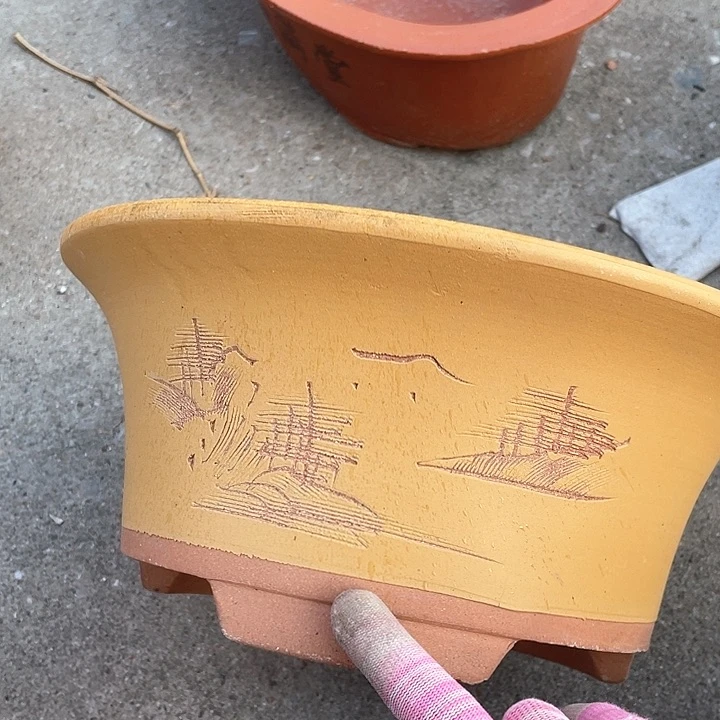 紫砂33黄票口花盆华花盆