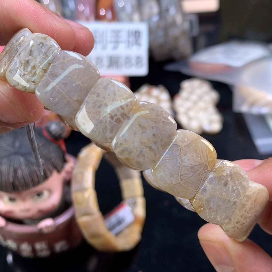 【闪购商品】颈饰未镶嵌硅化珊瑚（珊瑚玉）40号灰蓝万花筒好绝！