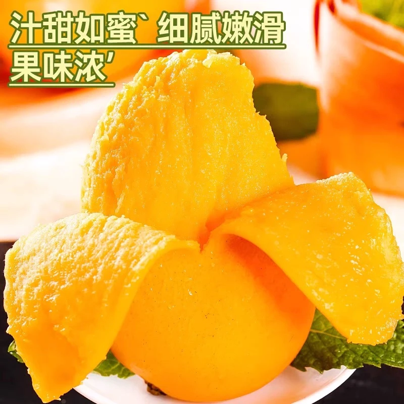 新鲜采摘云南台农芒果小台芒应季鲜果树熟果