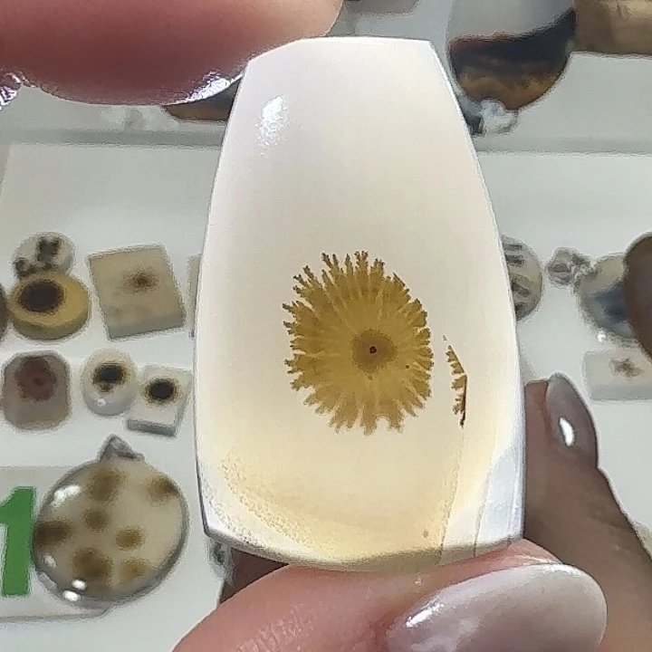 玛瑙/玉髓未镶嵌珠宝奇石