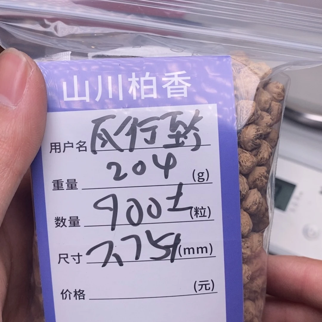 柏香籽/百香籽吊坠风**今