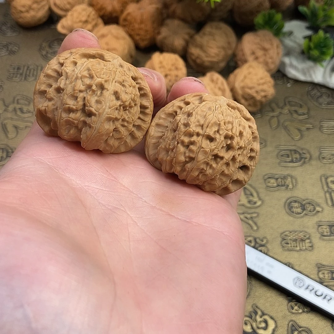 核桃白狮子41尺寸编号438全品无修肚子饱满不缺肉