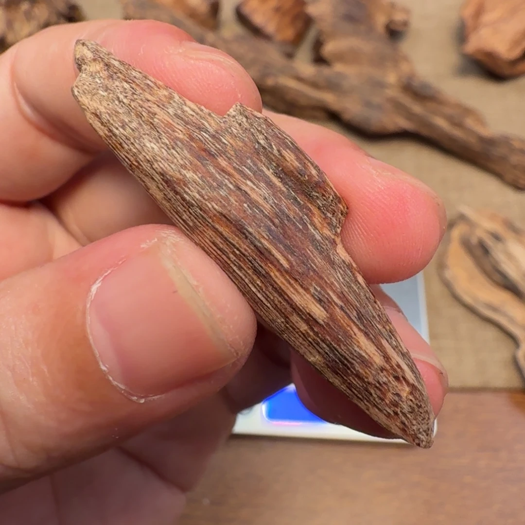 淳***和沉香惠东棋韵瓜子