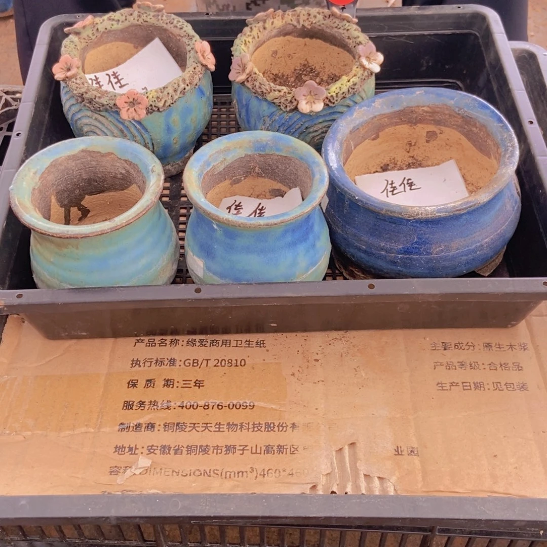 佳***麻花盆暇。