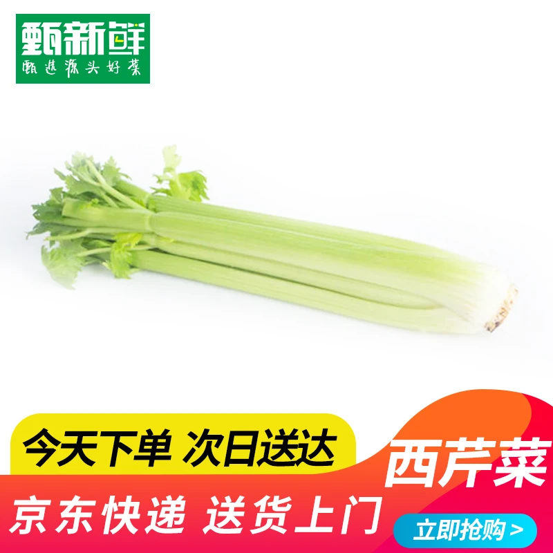 ③②新鲜西芹1100g±50g京东包邮次日达绿色蔬菜新鲜蔬菜