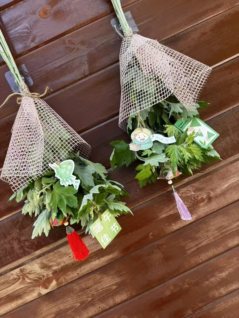 精选端午鲜艾草现割现发整棵艾叶端午节挂门整把全株带杆长条艾叶