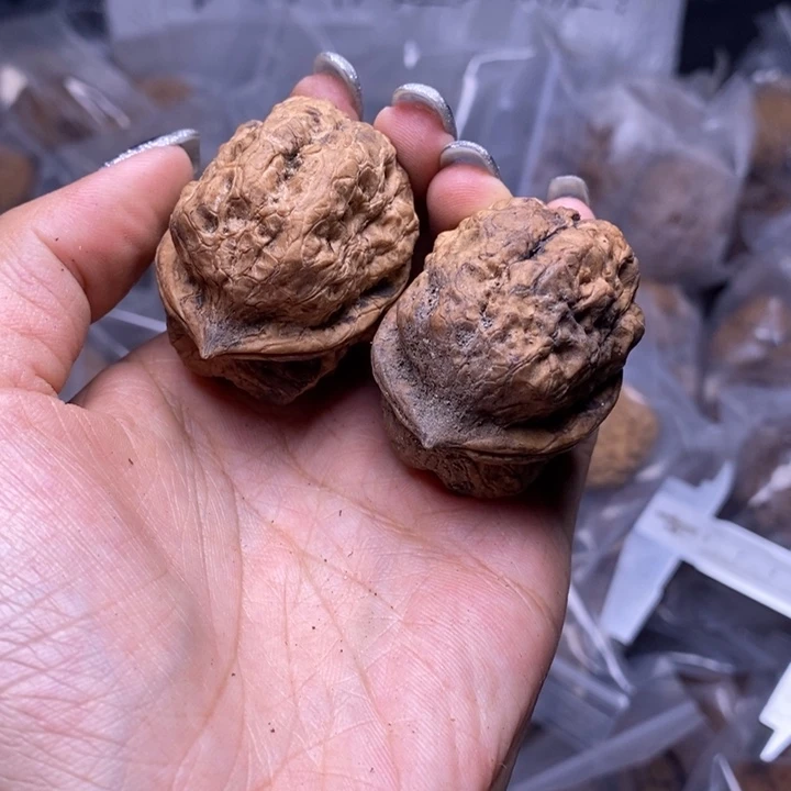 核桃云南野生铁核桃68号41mm