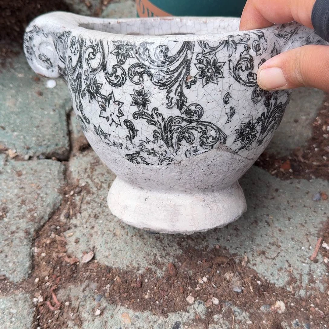 苑***儿双耳复古花盆多肉植物