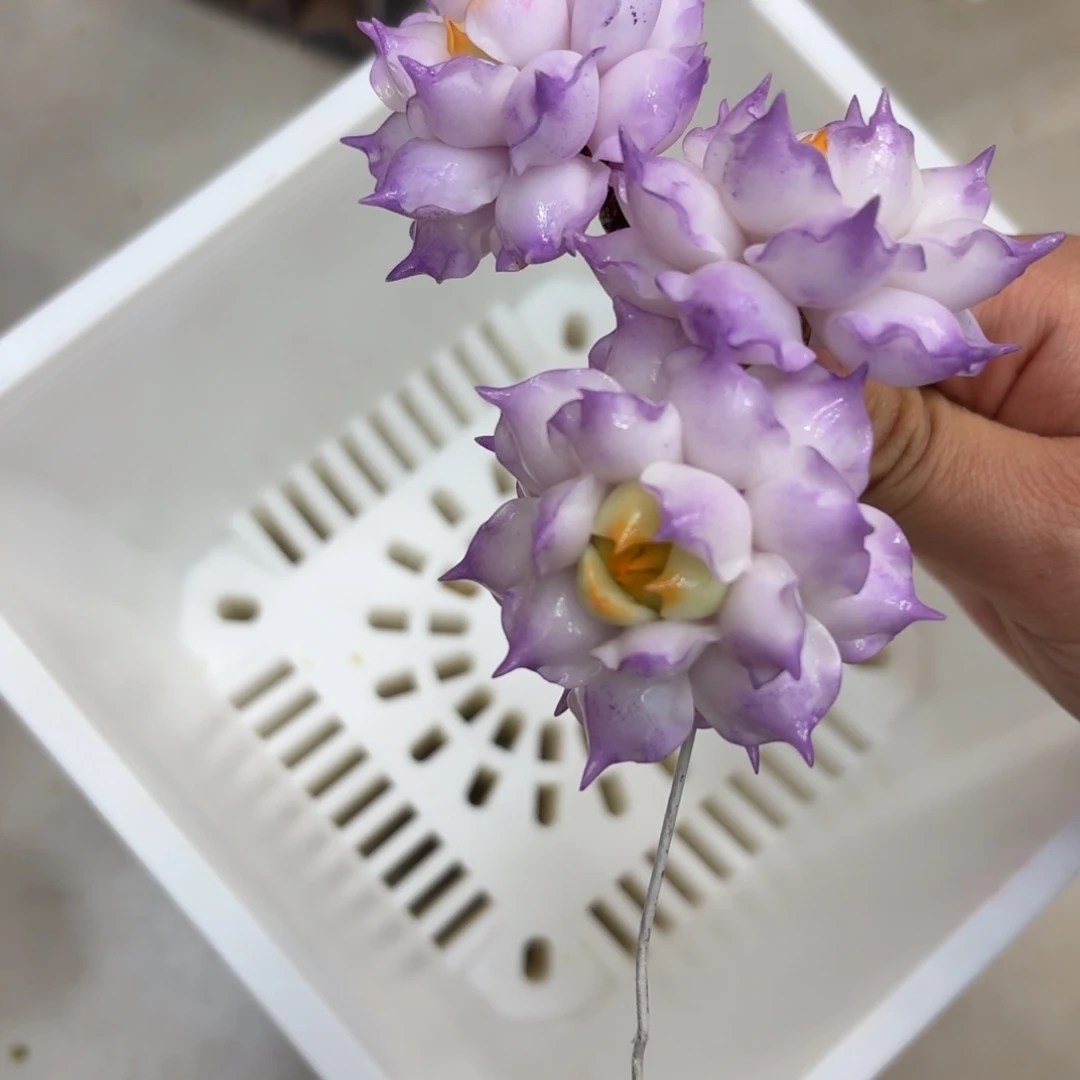 树脂799号噢噢噢哦哦